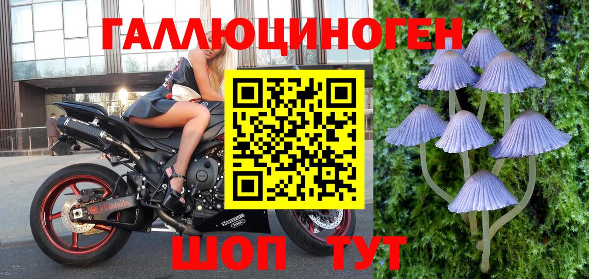 Галлюциногенные грибы MAGIC MUSHROOMS Керчь