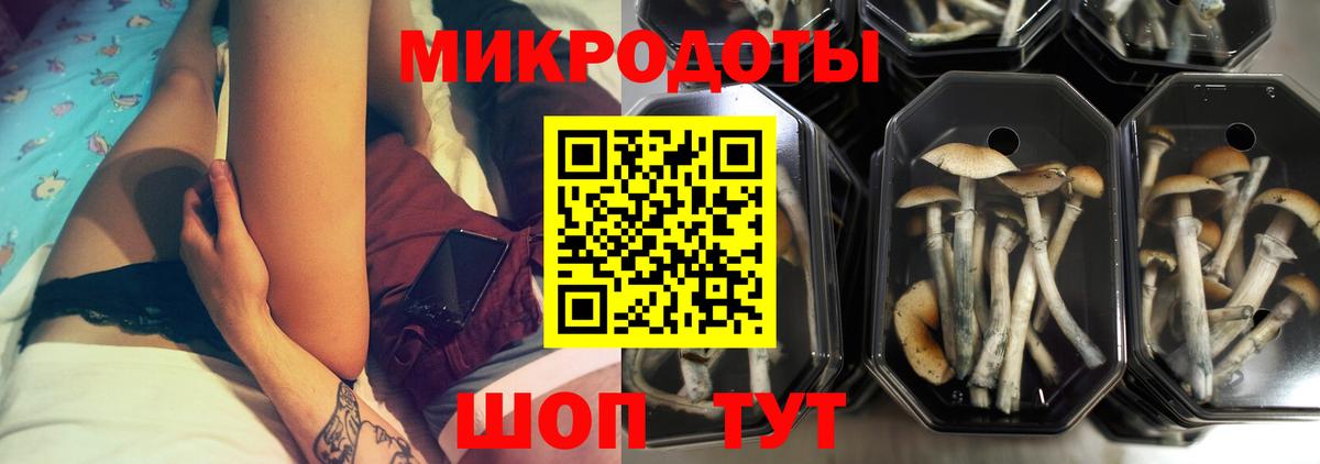 Галлюциногенные грибы Psilocybine cubensis  Вход с VPN  Керчь 